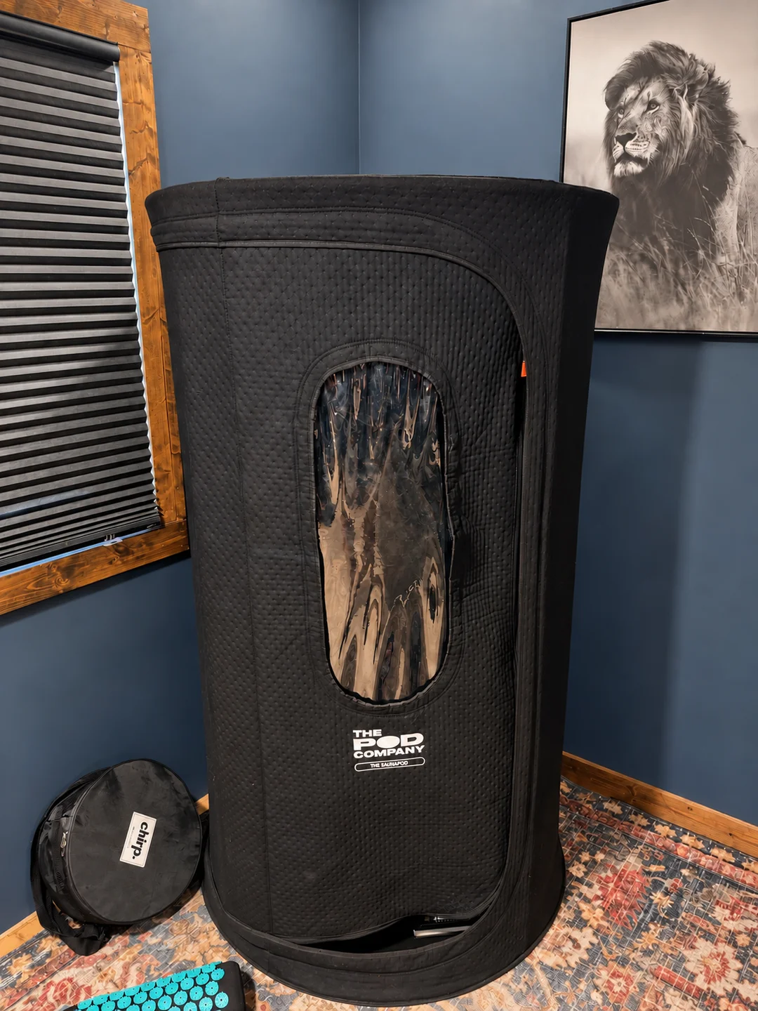 Our black Sauna Pod in the corner of our entertainment room, beside the window and lion print